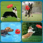 Pet Toy Flying Saucer Ball