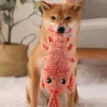 Floppy Lobster Interactive Dog Toys