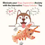 Floppy Lobster Interactive Dog Toys