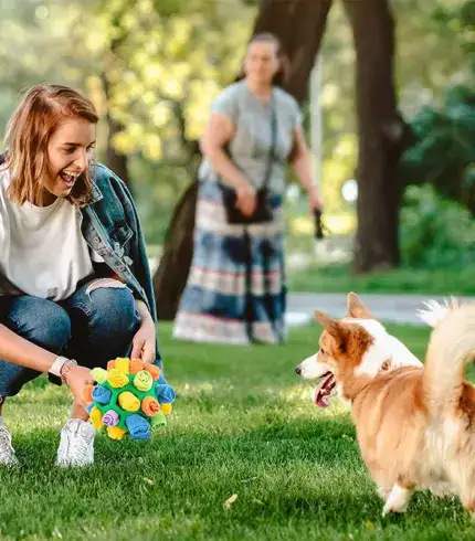 Dog Chew Toy Balls