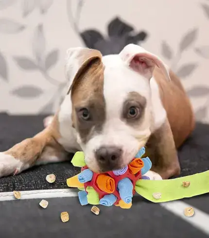 Dog Chew Toy Balls