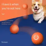 Treat Your Kitty To The Electric Ball Cat Toy