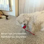 Smart Interactive Pet Toy Ball - Image 6