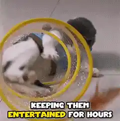 Another animation of the cat tunnel toy