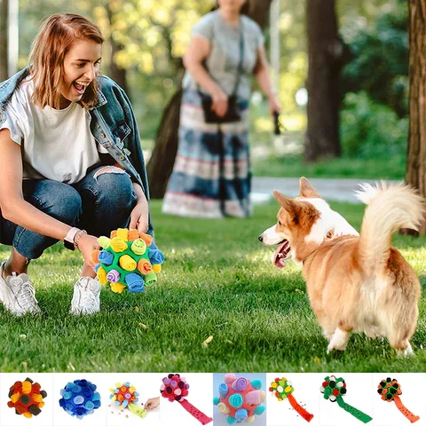 Dog Chew Toy Ball Image 1