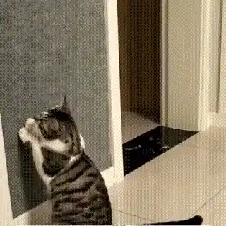 Scratch mat in action
