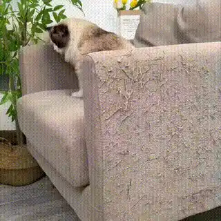Cat scratch mat
