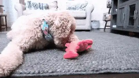 Interactive lobster toy animation