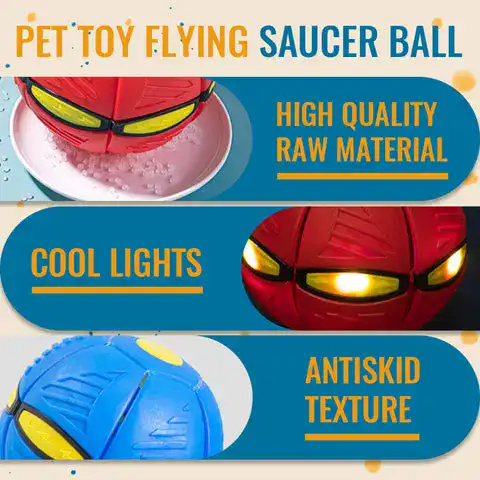Versatile Pet Toy