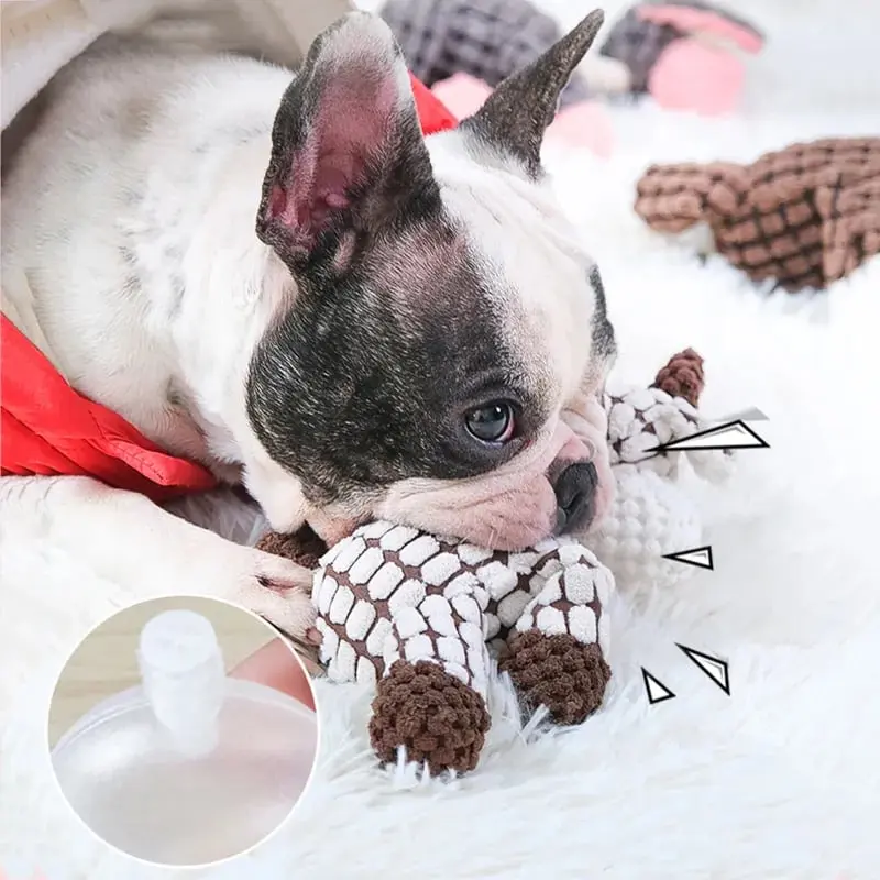 Veterinarian Approved Toy