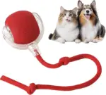 Smart Chase Pet Toy Ball - Image 2