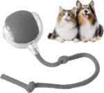 Smart Chase Pet Toy Ball - Image 4