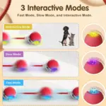 Smart Chase Pet Toy Ball - Image 6