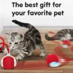 Smart Chase Pet Toy Ball - Image 7