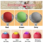 Smart Chase Pet Toy Ball - Image 9