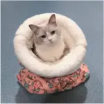 Cozy Pet Nest for Cats and Dogs - Image 4