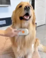 Steam Pet Grooming Brush - Image 6