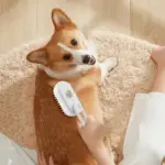 Steam Pet Grooming Brush - Image 7