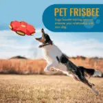 Pet Toy Flying Saucer Ball – Transforming Fetch Toy for Dogs - Image 6