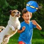 Pet Toy Flying Saucer Ball – Transforming Fetch Toy for Dogs - Image 9